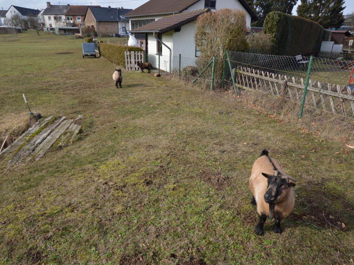 Apartament Modern In Eifel Near Forest
